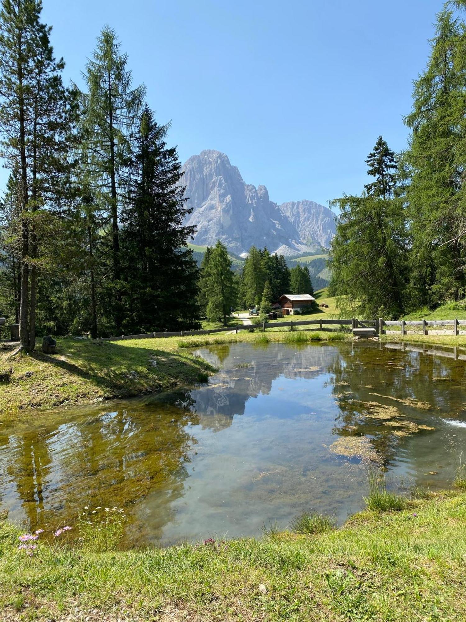 Apartment Nido Selva di Val Gardena Extérieur photo